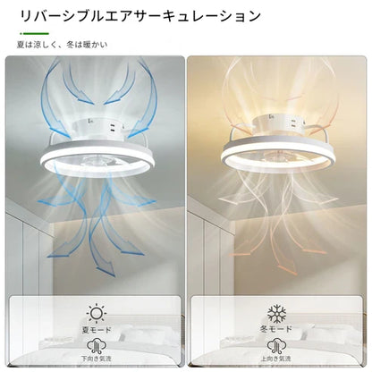 調光LEDライト付きシーリングファン – 快適さと洗練さを自在にコントロール！